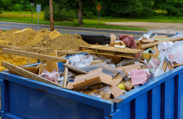 Best Shed Removal  in , NV